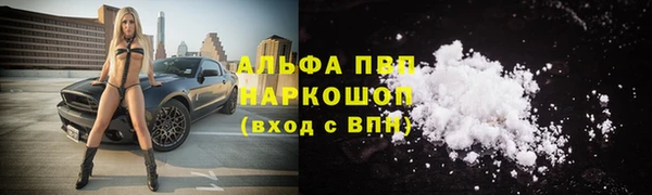 гидра Армянск