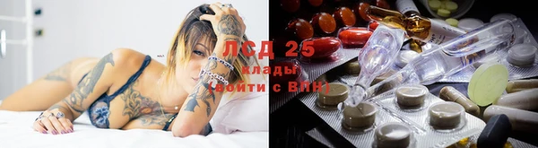 гидра Армянск