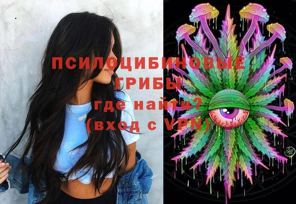 мдпв Арсеньев