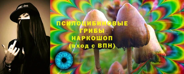 мдпв Арсеньев