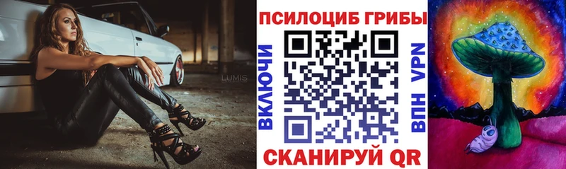 Псилоцибиновые грибы мухоморы  ссылка на мегу зеркало  Светогорск  купить наркотики сайты 